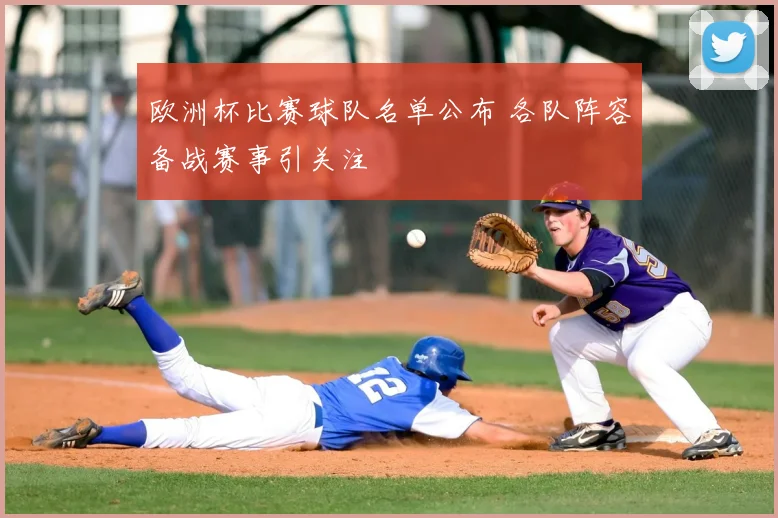 欧洲杯比赛球队名单公布 各队阵容备战赛事引关注