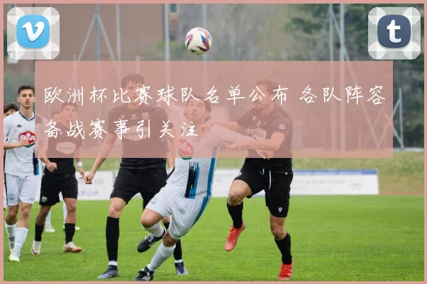 欧洲杯比赛球队名单公布 各队阵容备战赛事引关注